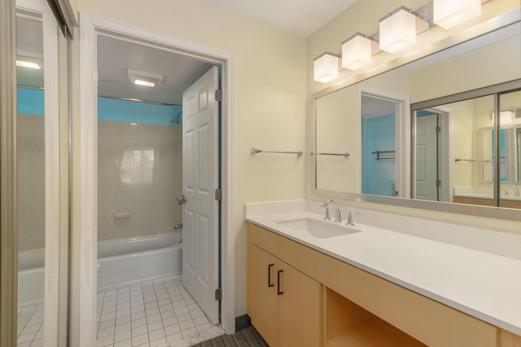a bathroom with a sink and a shower and a mirror